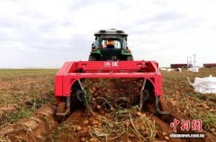 <b>“9月5日起头大量</b>